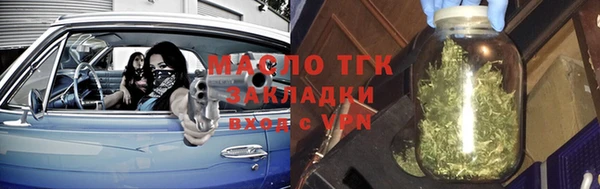 мдпв Инсар