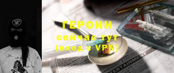 мдпв Инсар