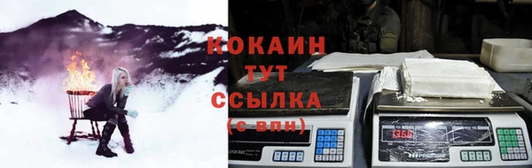 мдпв Инсар