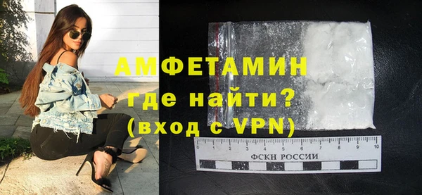 мдпв Инсар