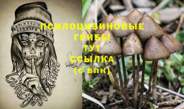мдпв Инсар