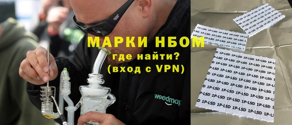 мдпв Инсар