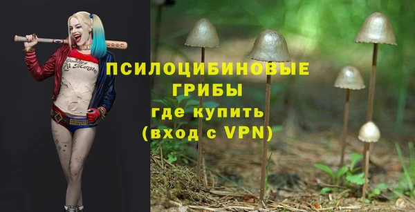герыч Инта