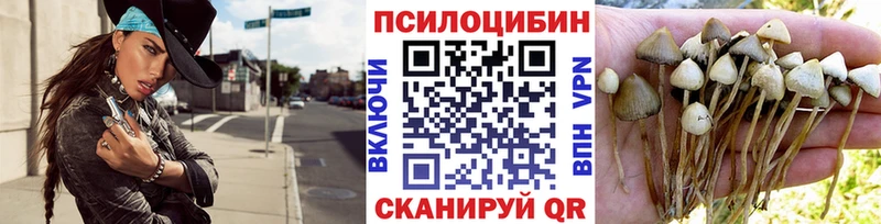 Псилоцибиновые грибы GOLDEN TEACHER  Углегорск 